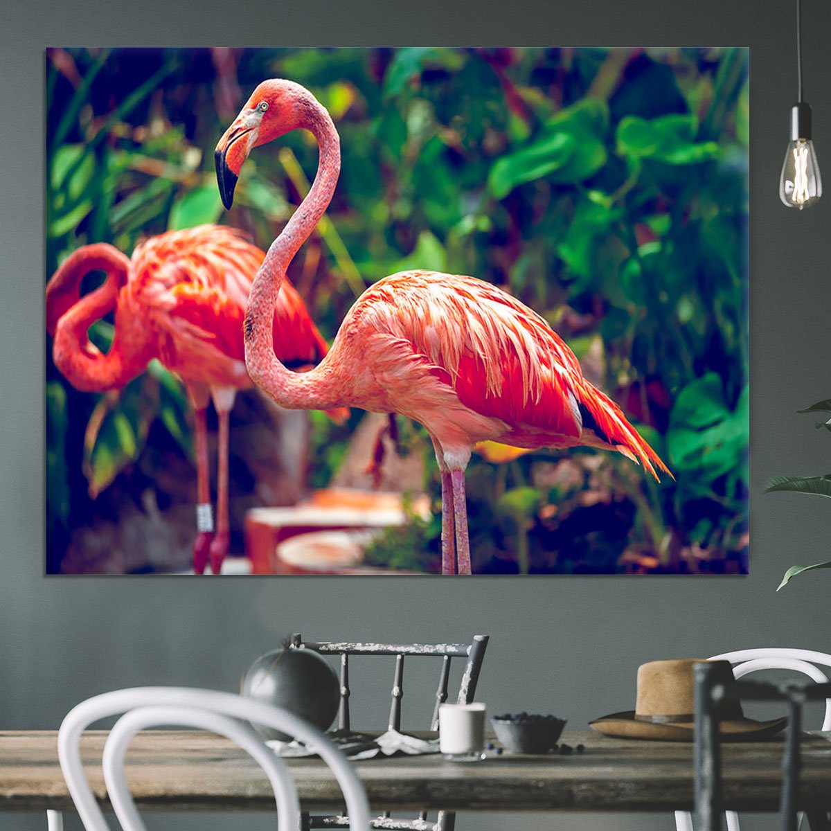Pink flamingo close-up in Singapore zoo Canvas Print or Poster