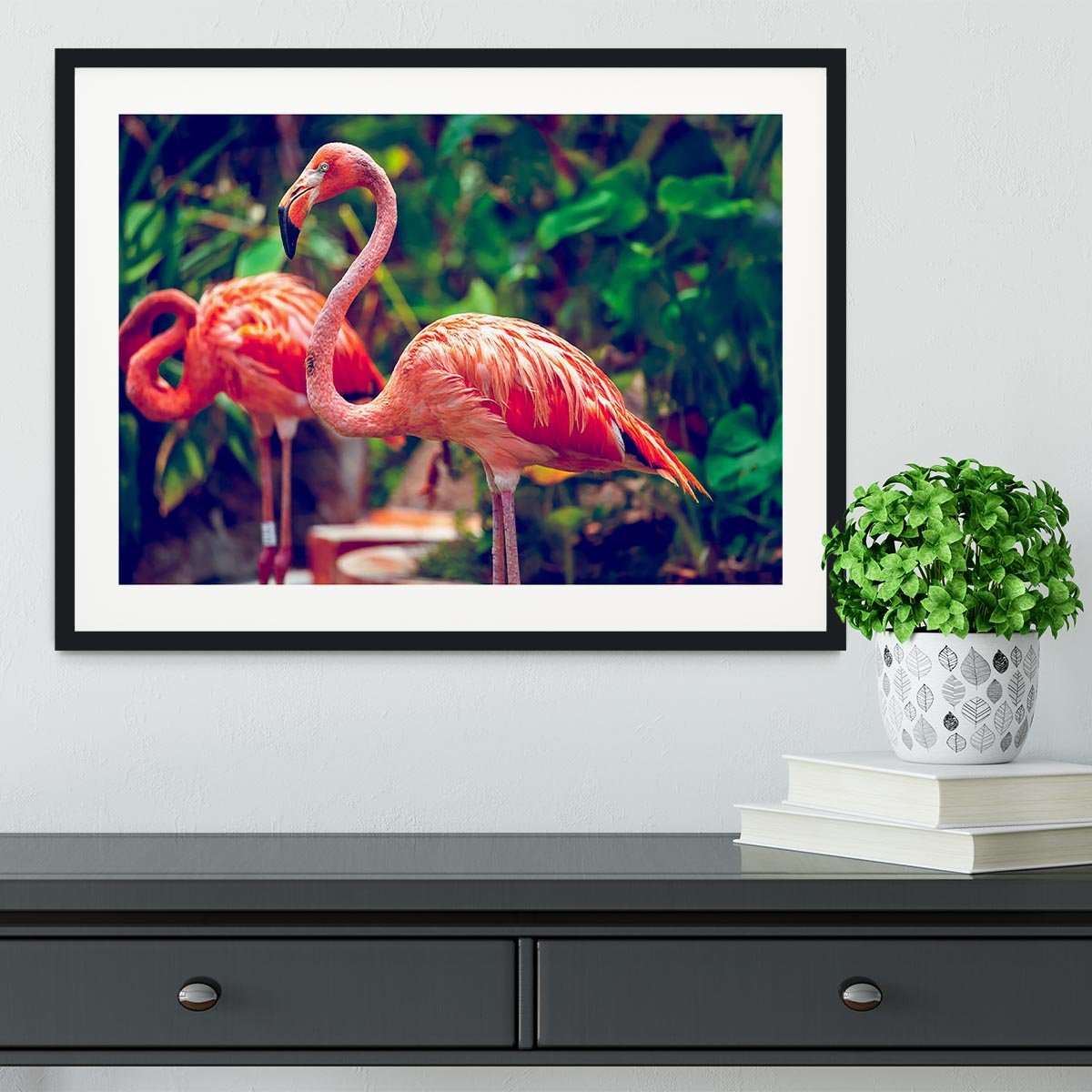 Pink flamingo close-up in Singapore zoo Framed Print - Canvas Art Rocks - 1