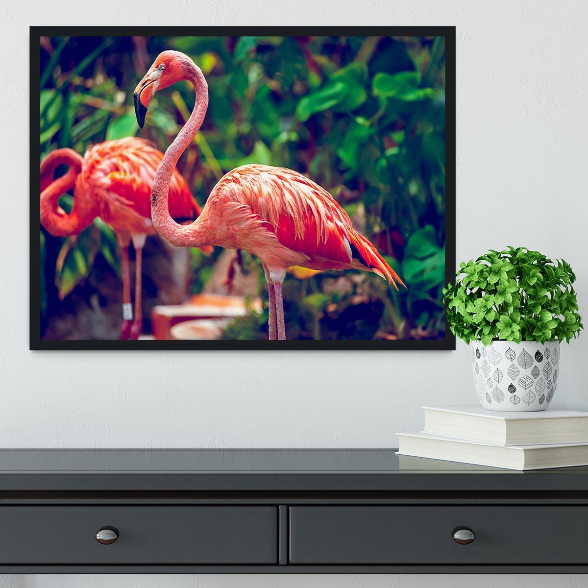 Pink flamingo close-up in Singapore zoo Framed Print - Canvas Art Rocks - 2