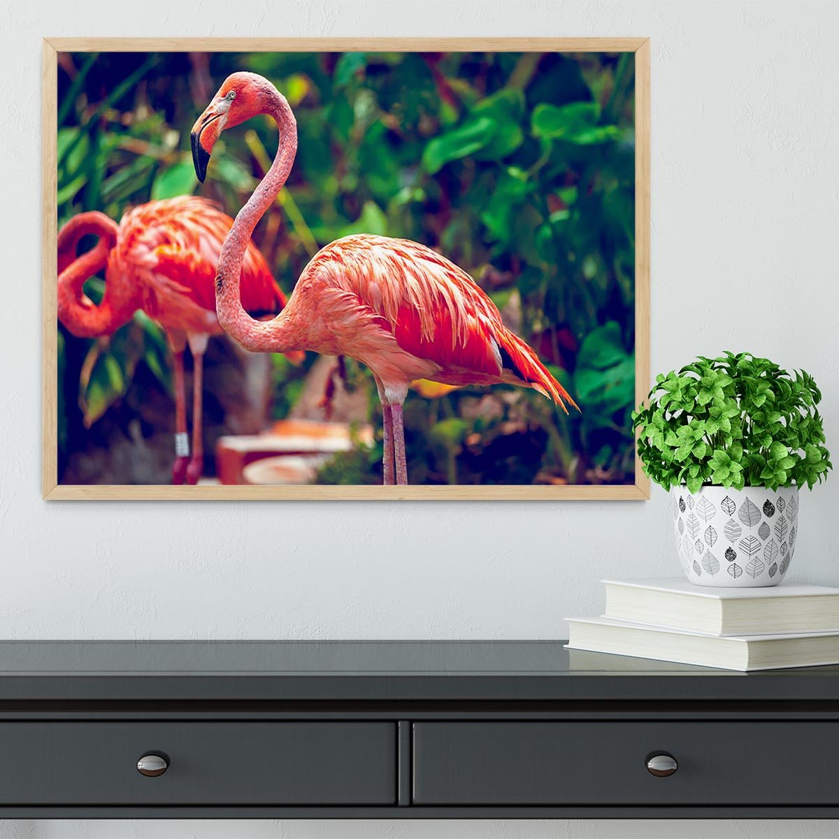 Pink flamingo close-up in Singapore zoo Framed Print - Canvas Art Rocks - 4