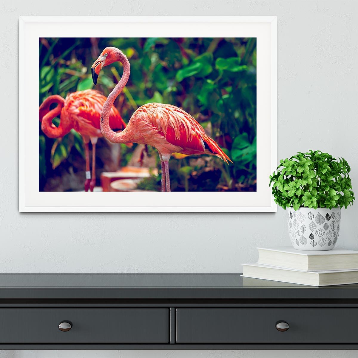 Pink flamingo close-up in Singapore zoo Framed Print - Canvas Art Rocks - 5
