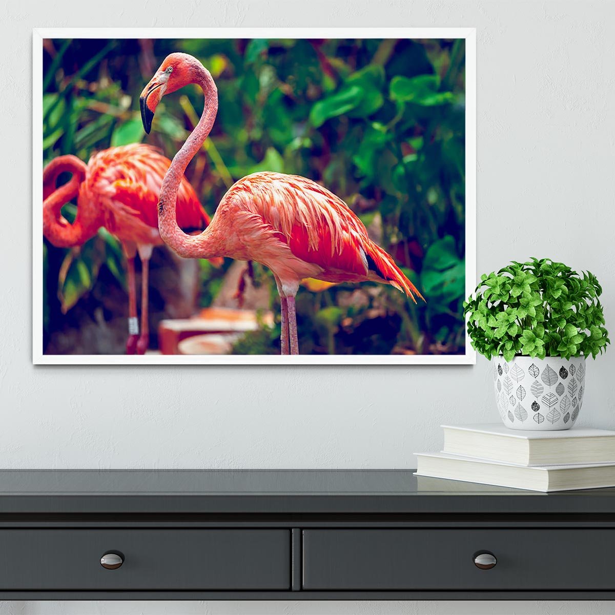 Pink flamingo close-up in Singapore zoo Framed Print - Canvas Art Rocks -6