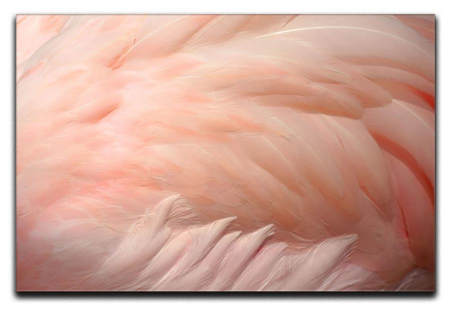 Pink flamingo feathers Canvas Print or Poster - Canvas Art Rocks - 1