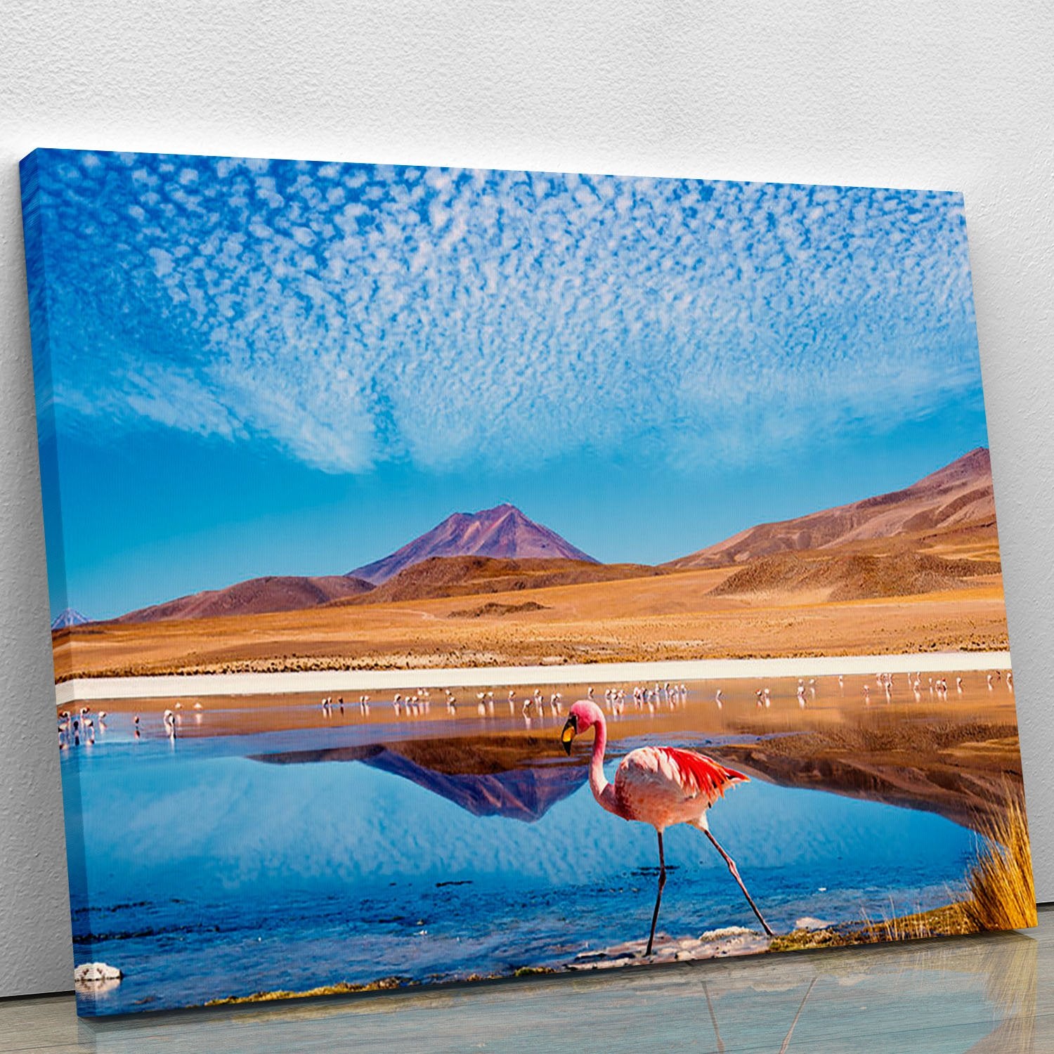 Pink flamingo walking through scene Canvas Print or Poster