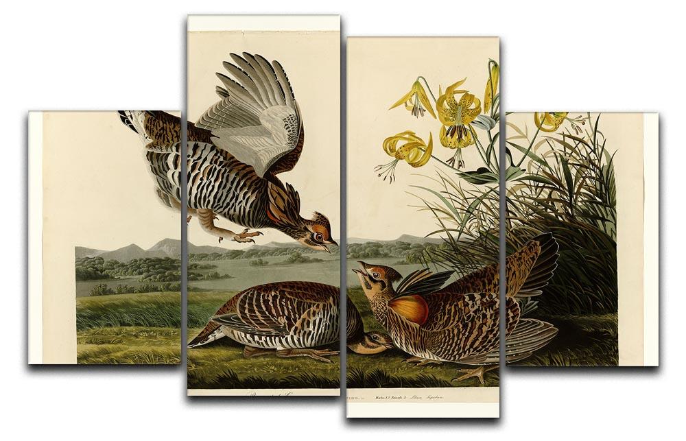 Pinnated Grouse by Audubon 4 Split Panel Canvas - Canvas Art Rocks - 1
