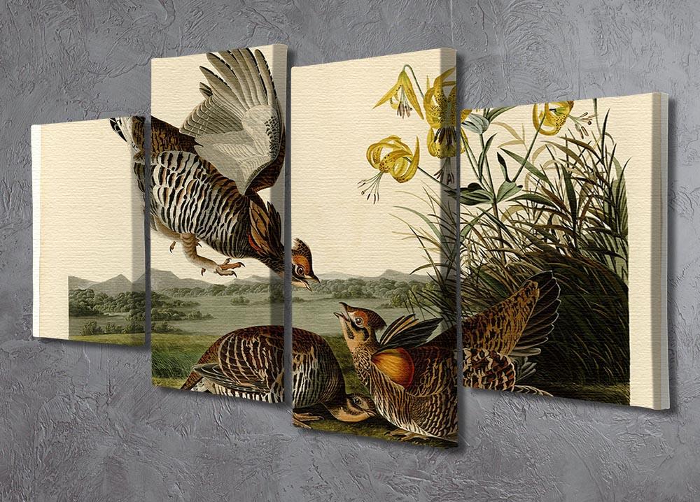 Pinnated Grouse by Audubon 4 Split Panel Canvas - Canvas Art Rocks - 2