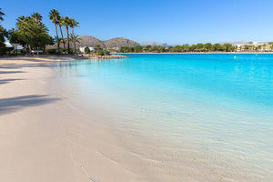 Platja de Alcudia beach Wall Mural Wallpaper - Canvas Art Rocks - 1
