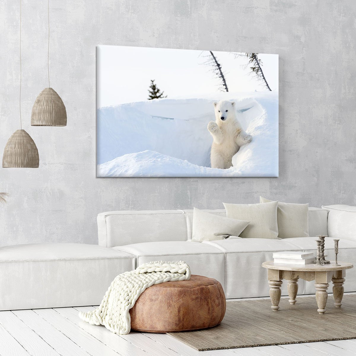 Polar bear Ursus maritimus cub coming out den Canvas Print or Poster