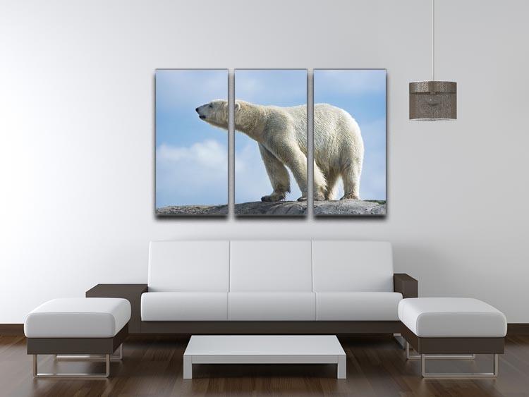 Polar bear walking on rocks 3 Split Panel Canvas Print - Canvas Art Rocks - 3