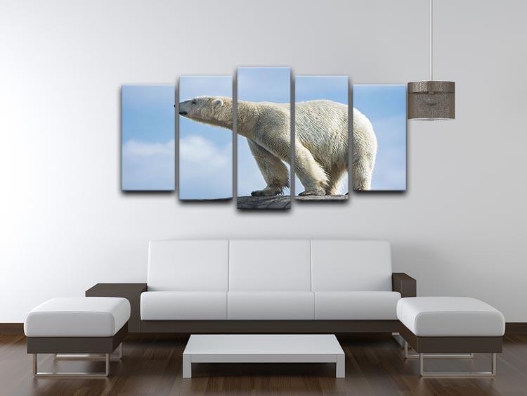 Polar bear walking on rocks 5 Split Panel Canvas - Canvas Art Rocks - 3