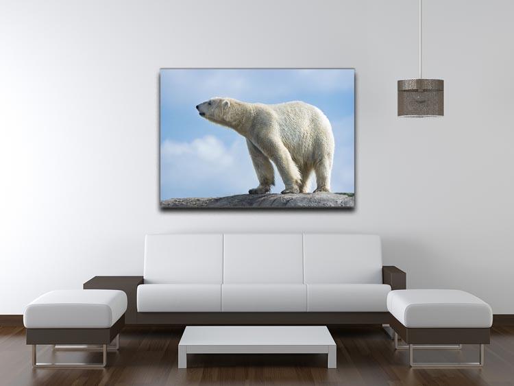 Polar bear walking on rocks Canvas Print or Poster - Canvas Art Rocks - 4