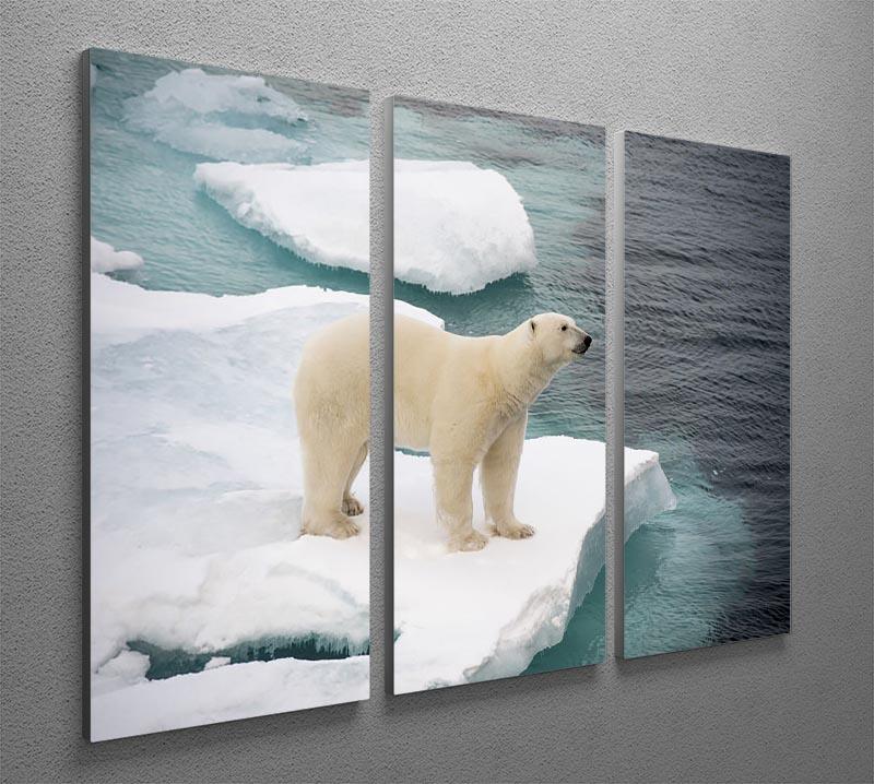 Polar bear walking on sea ice 3 Split Panel Canvas Print - Canvas Art Rocks - 2