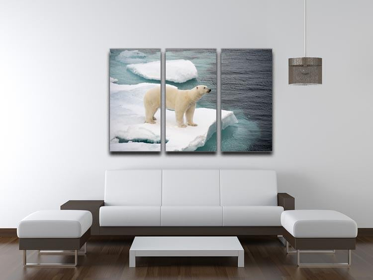 Polar bear walking on sea ice 3 Split Panel Canvas Print - Canvas Art Rocks - 3
