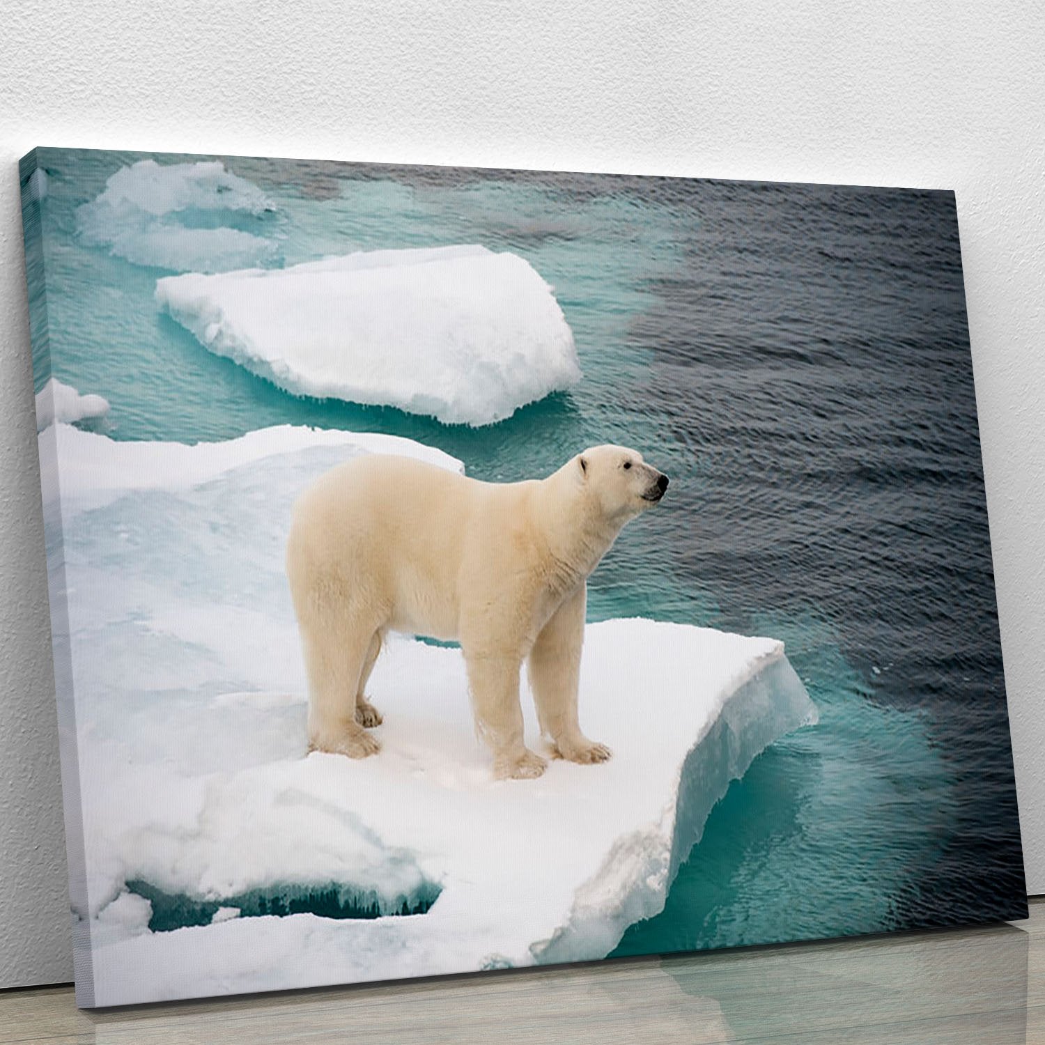 Polar bear walking on sea ice Canvas Print or Poster