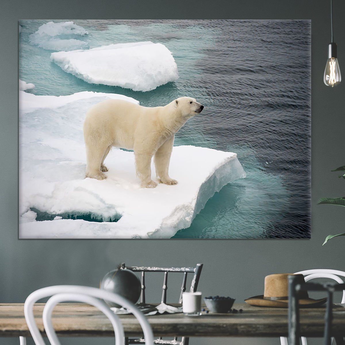Polar bear walking on sea ice Canvas Print or Poster