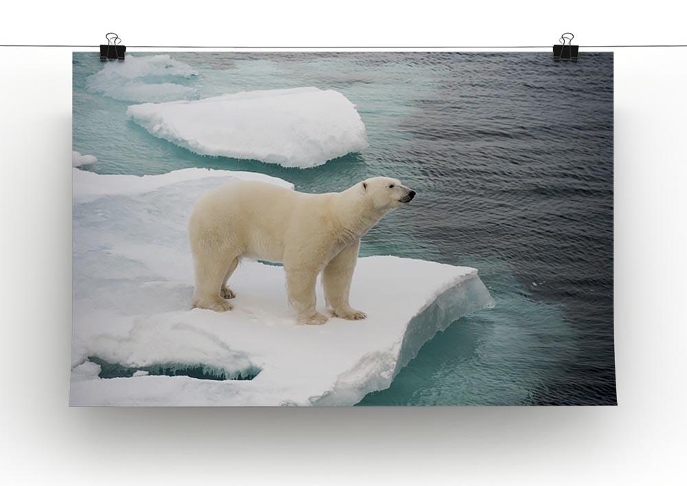 Polar bear walking on sea ice Canvas Print or Poster - Canvas Art Rocks - 2