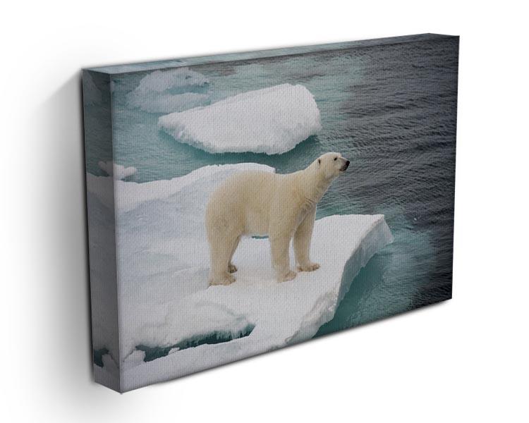 Polar bear walking on sea ice Canvas Print or Poster - Canvas Art Rocks - 3