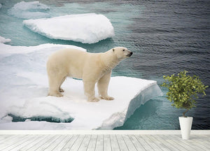 Polar bear walking on sea ice Wall Mural Wallpaper - Canvas Art Rocks - 4