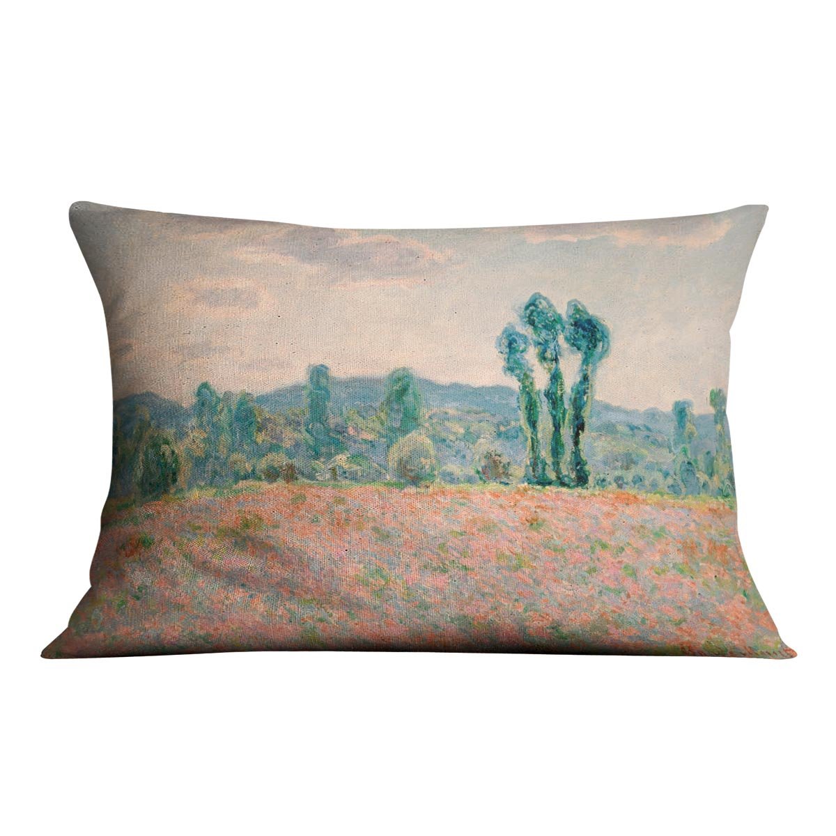 Poppy Field by Monet Throw Pillow