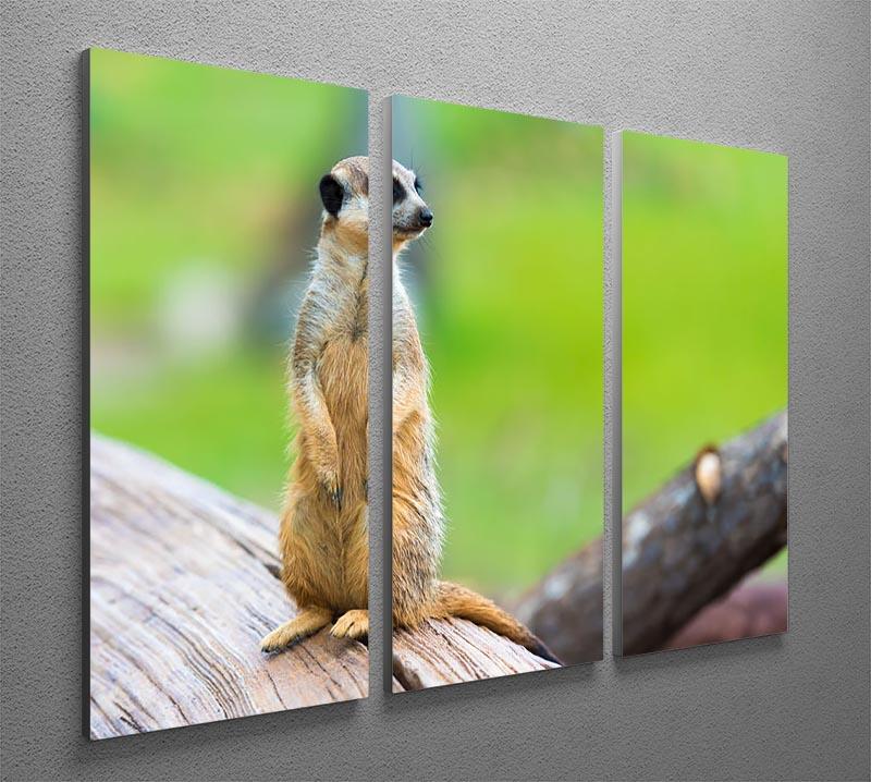 Portrait of Meerkat 3 Split Panel Canvas Print - Canvas Art Rocks - 2