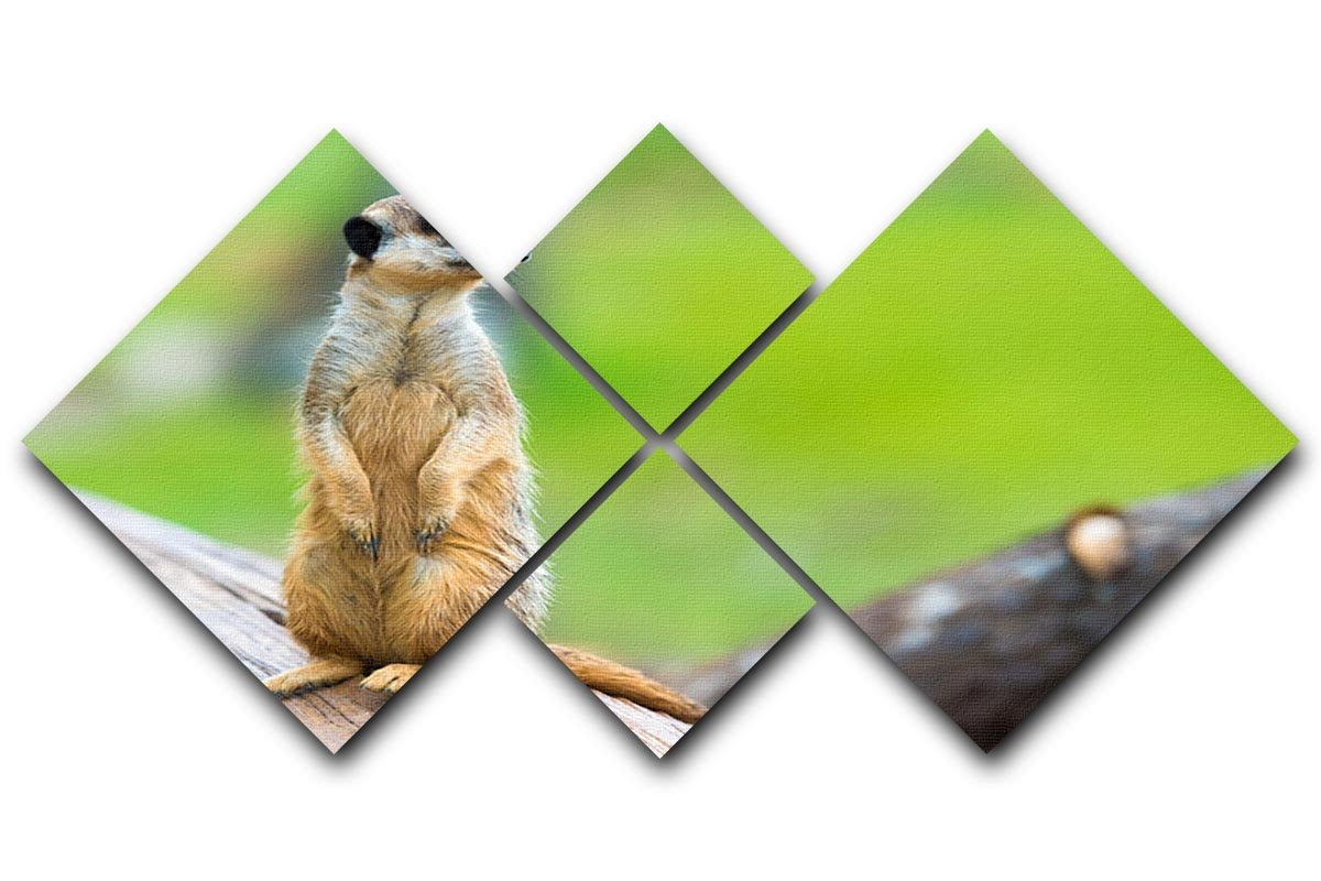Portrait of Meerkat 4 Square Multi Panel Canvas - Canvas Art Rocks - 1