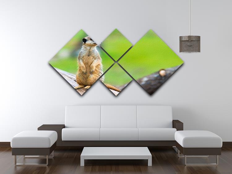 Portrait of Meerkat 4 Square Multi Panel Canvas - Canvas Art Rocks - 3