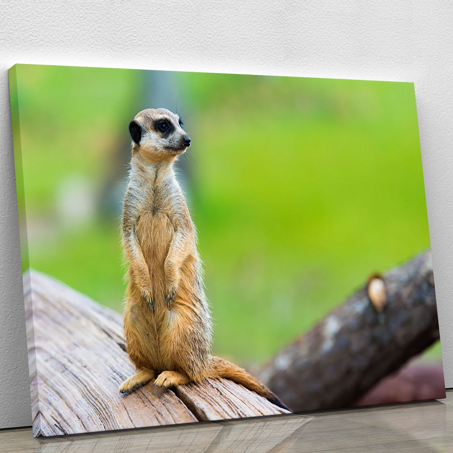 Portrait of Meerkat Canvas Print or Poster
