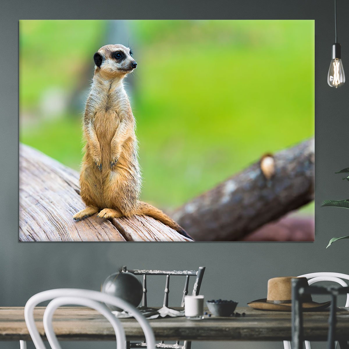 Portrait of Meerkat Canvas Print or Poster