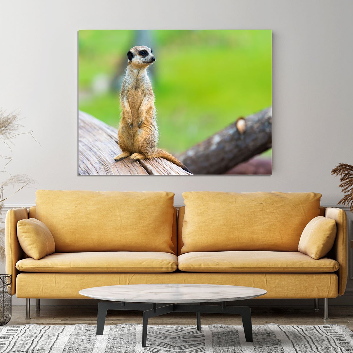 Portrait of Meerkat Canvas Print or Poster