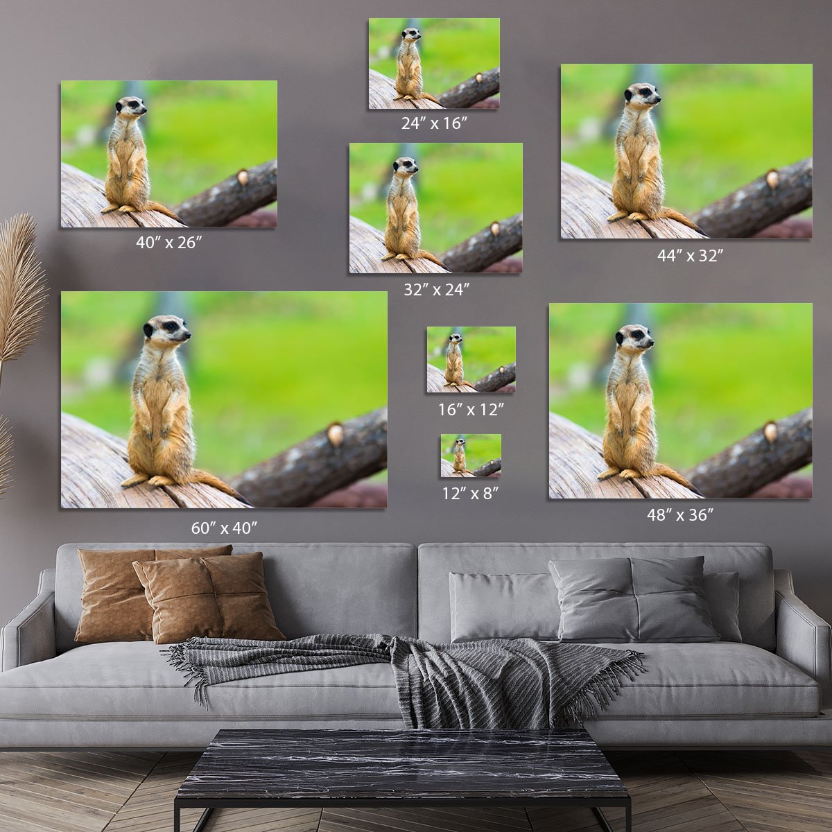 Portrait of Meerkat Canvas Print or Poster