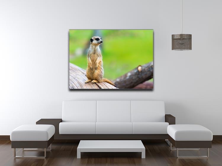 Portrait of Meerkat Canvas Print or Poster - Canvas Art Rocks - 4