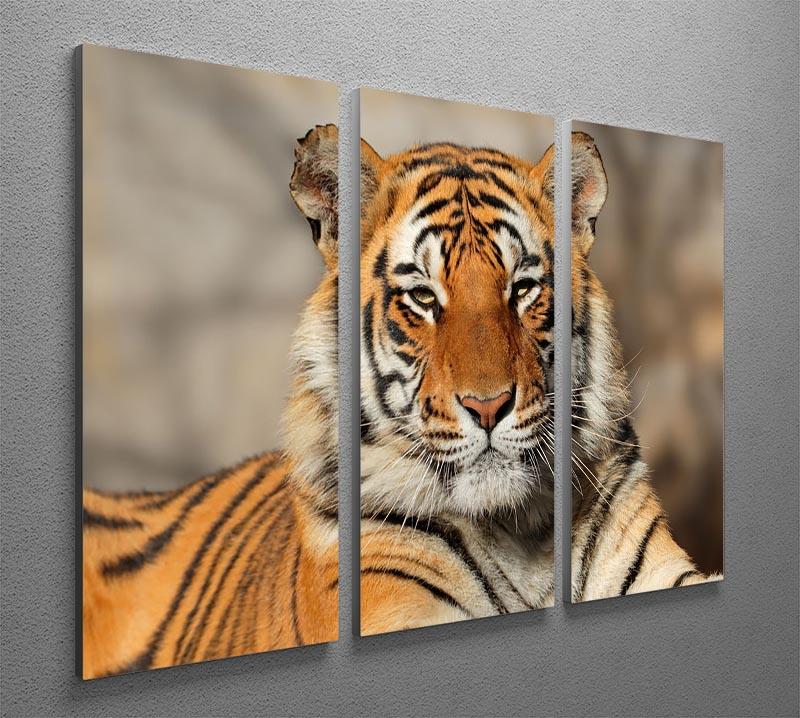Portrait of a Bengal tiger 3 Split Panel Canvas Print - Canvas Art Rocks - 2