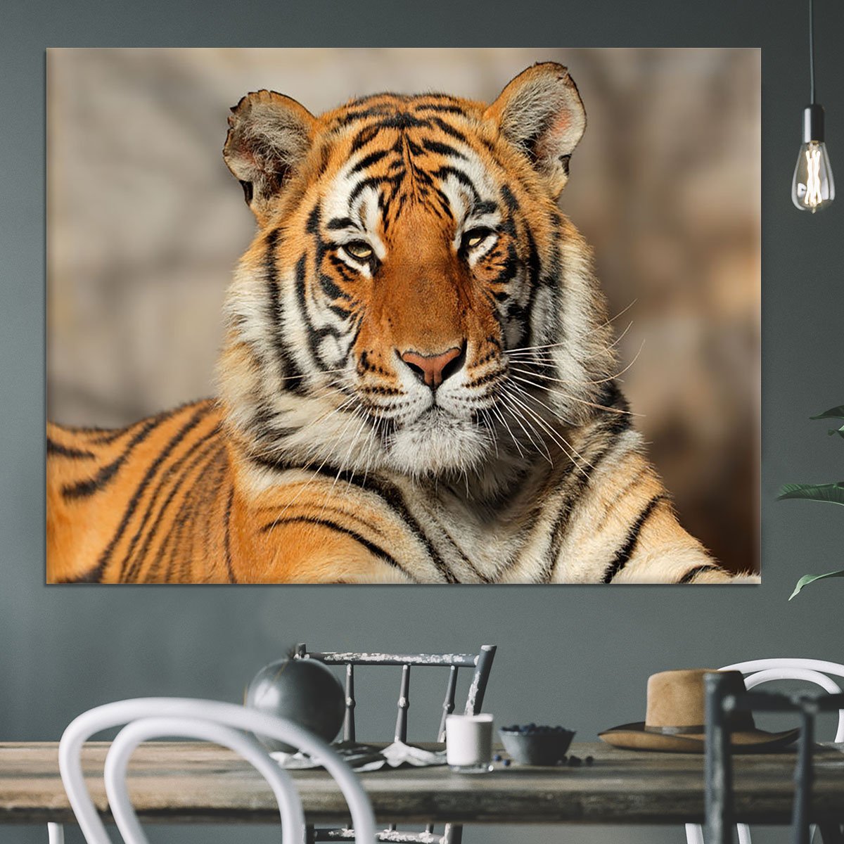 Portrait of a Bengal tiger Canvas Print or Poster