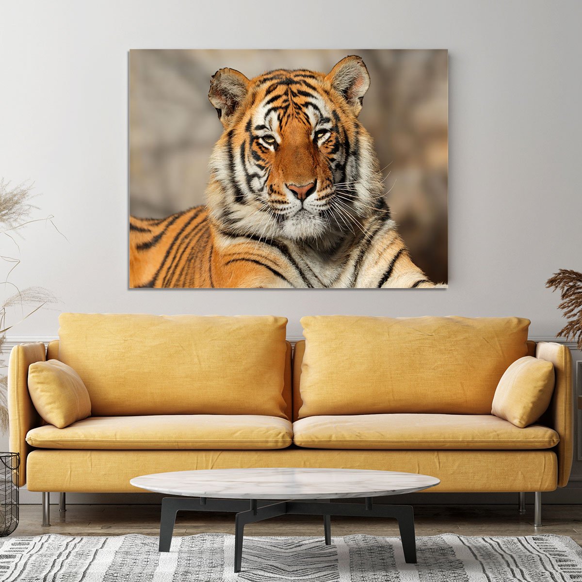 Portrait of a Bengal tiger Canvas Print or Poster