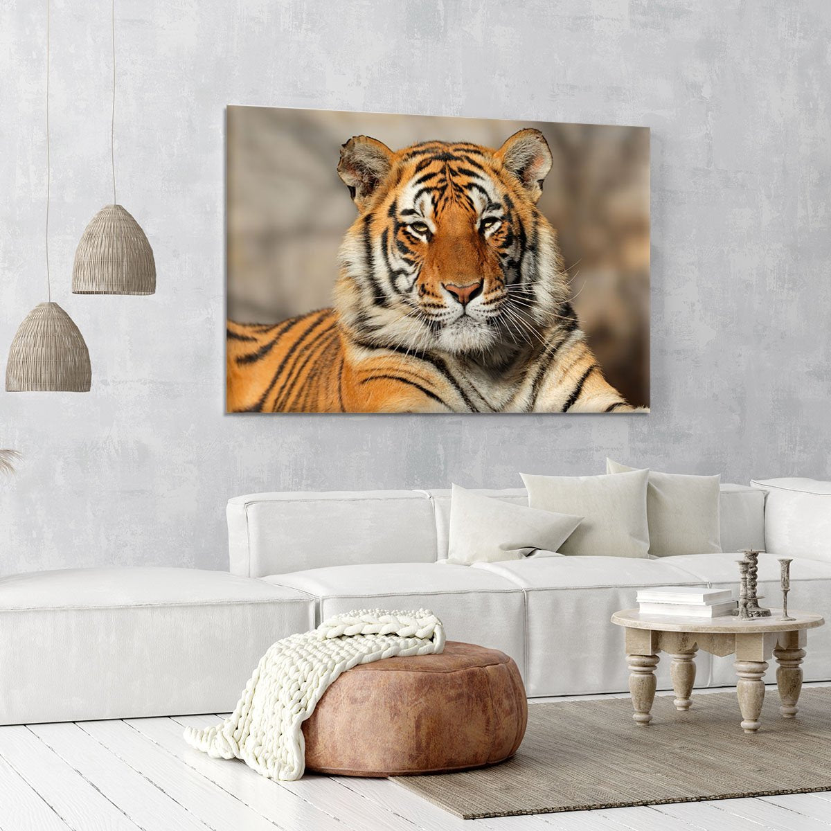 Portrait of a Bengal tiger Canvas Print or Poster