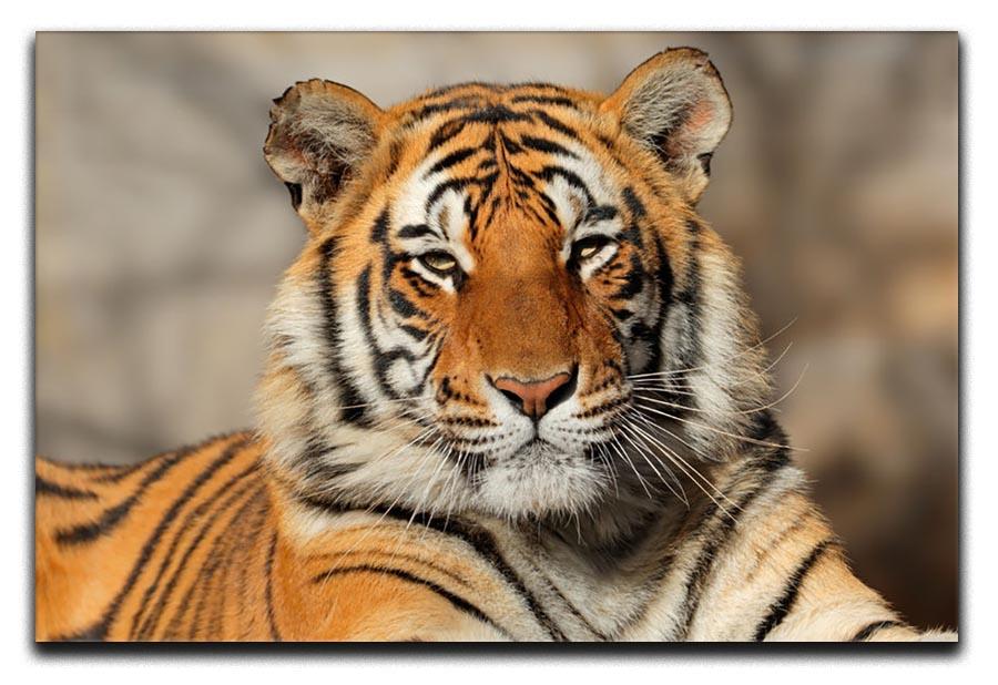 Portrait of a Bengal tiger Canvas Print or Poster - Canvas Art Rocks - 1