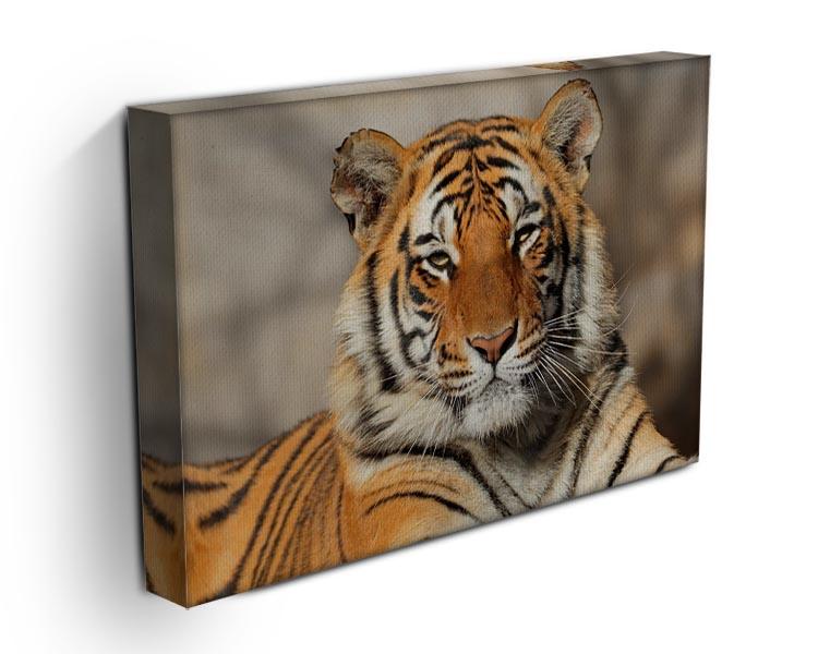 Portrait of a Bengal tiger Canvas Print or Poster - Canvas Art Rocks - 3