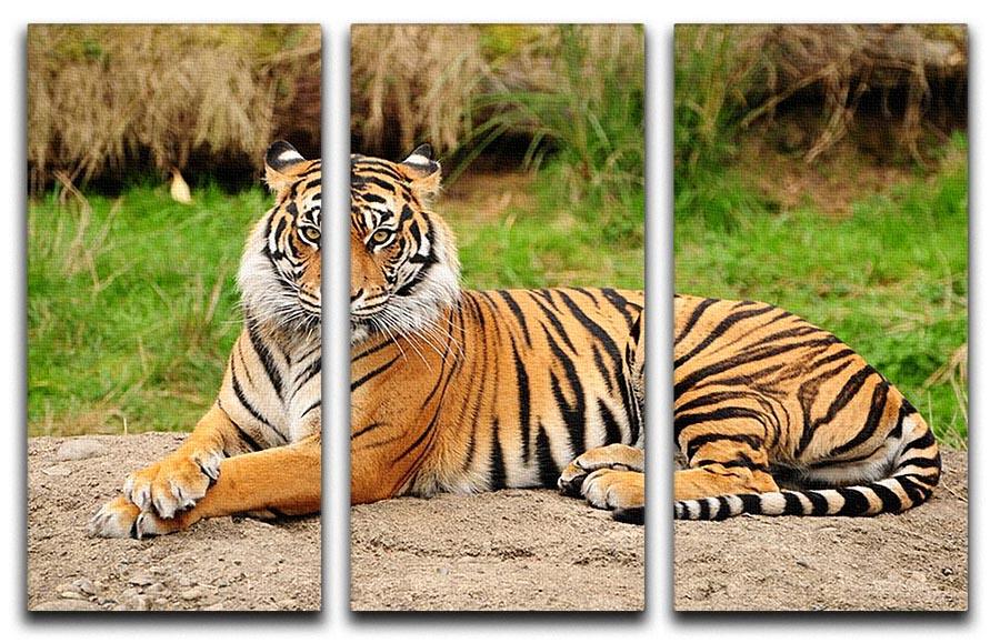 Portrait of a Royal Bengal tiger alert 3 Split Panel Canvas Print - Canvas Art Rocks - 1