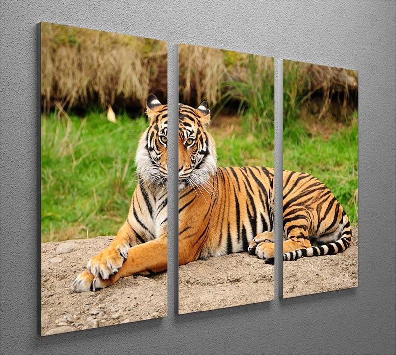 Portrait of a Royal Bengal tiger alert 3 Split Panel Canvas Print - Canvas Art Rocks - 2