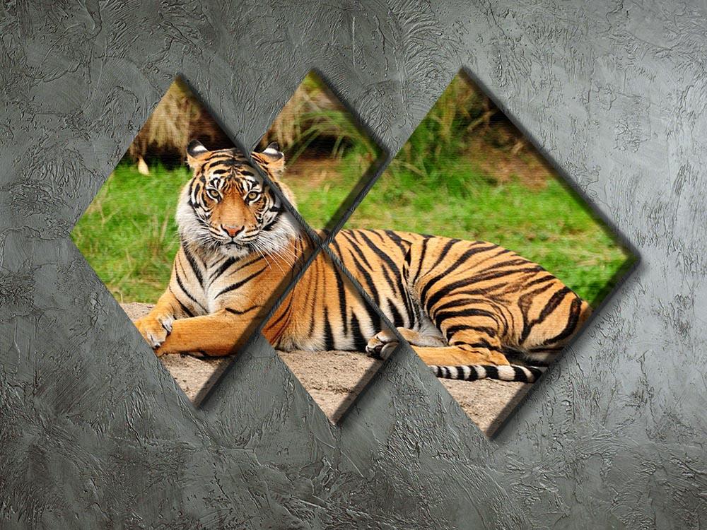 Portrait of a Royal Bengal tiger alert 4 Square Multi Panel Canvas - Canvas Art Rocks - 2