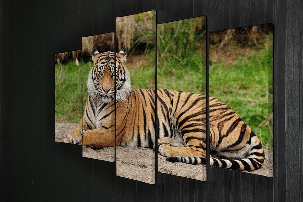 Portrait of a Royal Bengal tiger alert 5 Split Panel Canvas - Canvas Art Rocks - 2