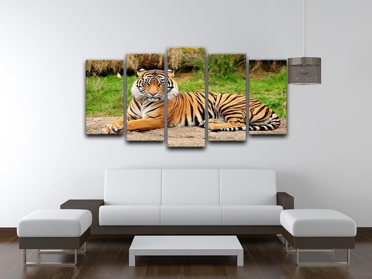 Portrait of a Royal Bengal tiger alert 5 Split Panel Canvas - Canvas Art Rocks - 3
