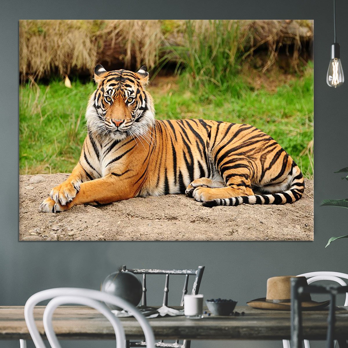 Portrait of a Royal Bengal tiger alert Canvas Print or Poster