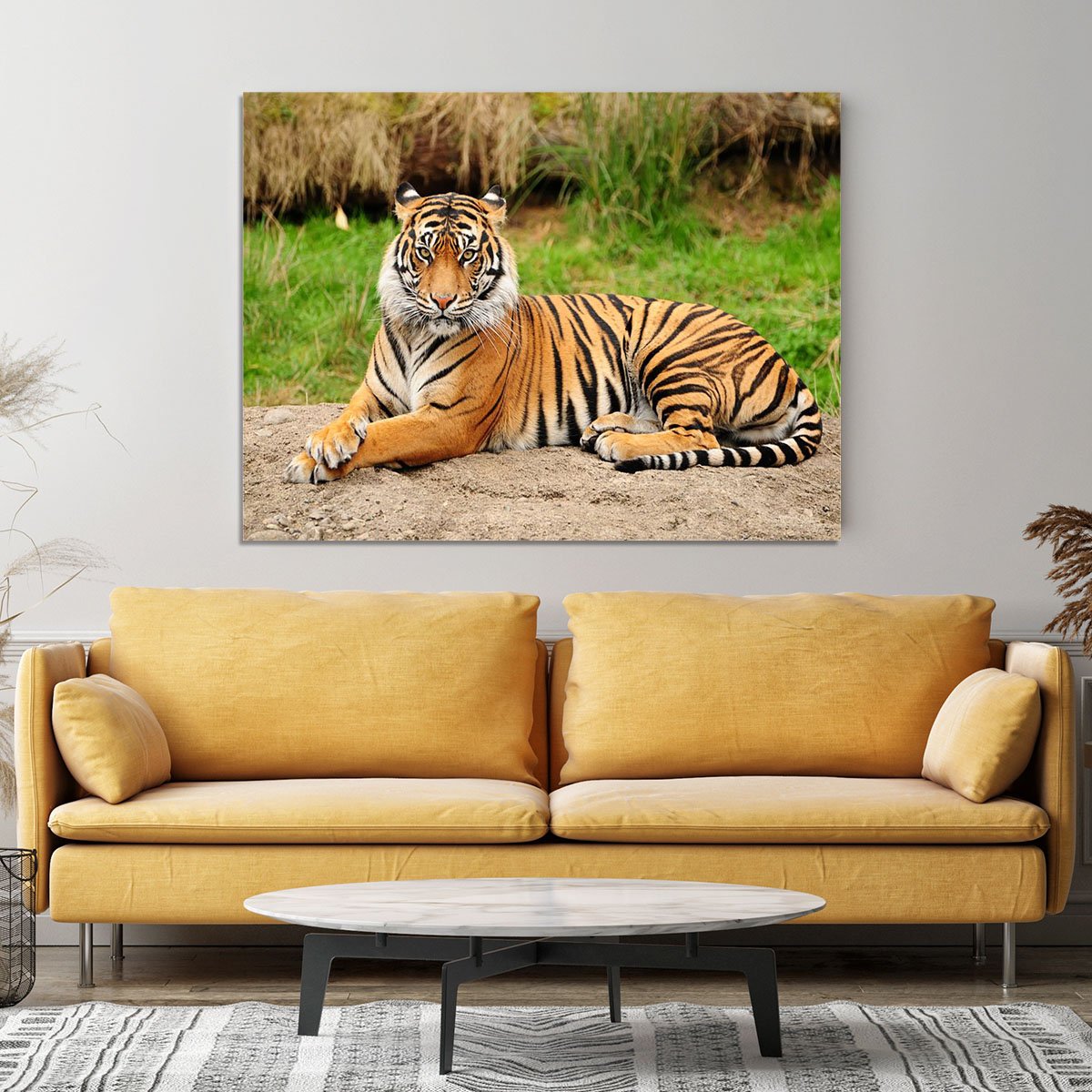 Portrait of a Royal Bengal tiger alert Canvas Print or Poster