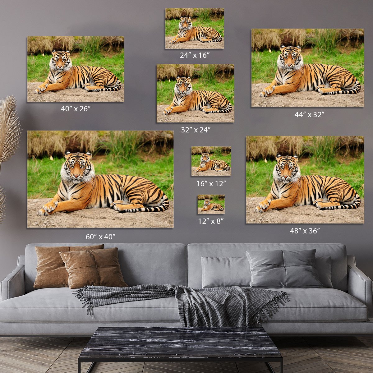 Portrait of a Royal Bengal tiger alert Canvas Print or Poster