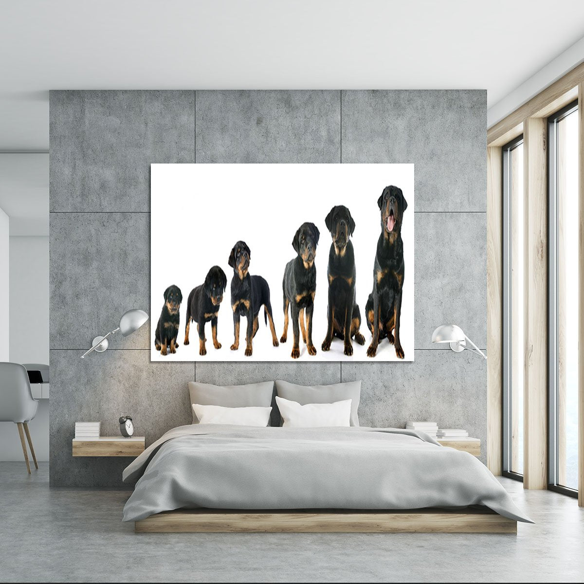 Portrait of a purebred puppy rottweiler Canvas Print or Poster