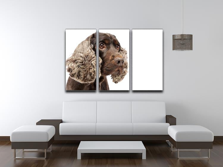 Portrait of an adorable English Cocker Spaniel 3 Split Panel Canvas Print - Canvas Art Rocks - 3
