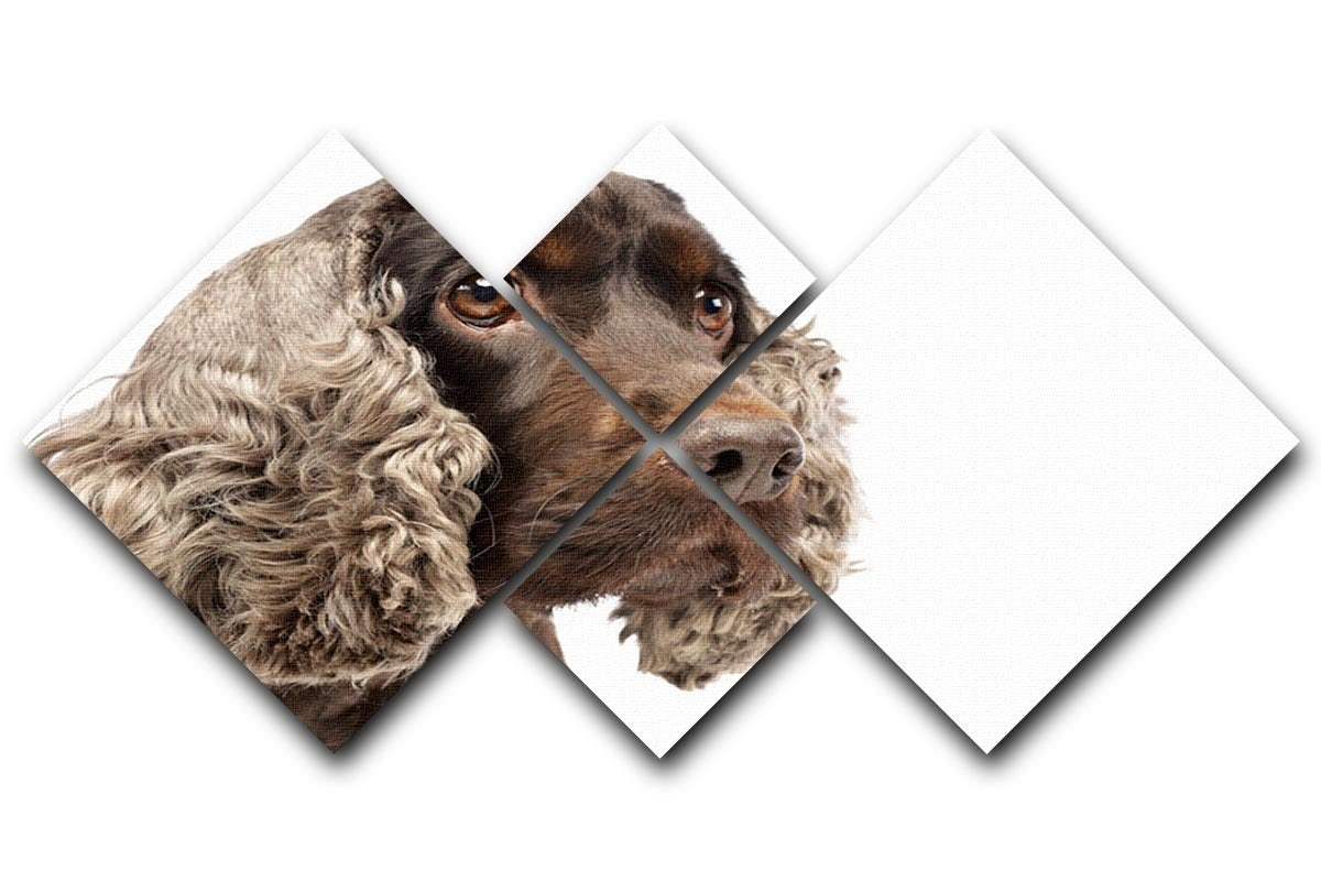 Portrait of an adorable English Cocker Spaniel 4 Square Multi Panel Canvas - Canvas Art Rocks - 1