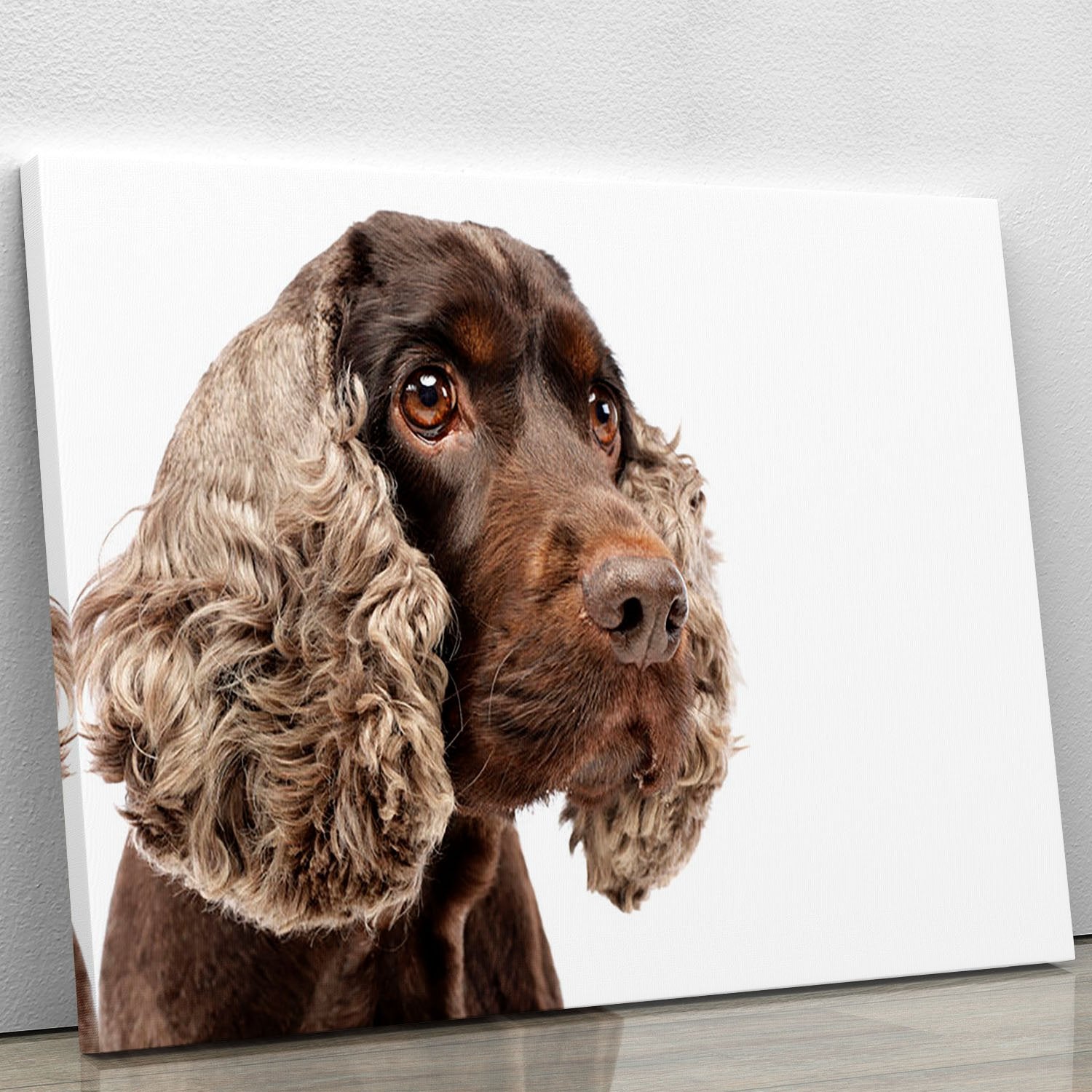 Portrait of an adorable English Cocker Spaniel Canvas Print or Poster
