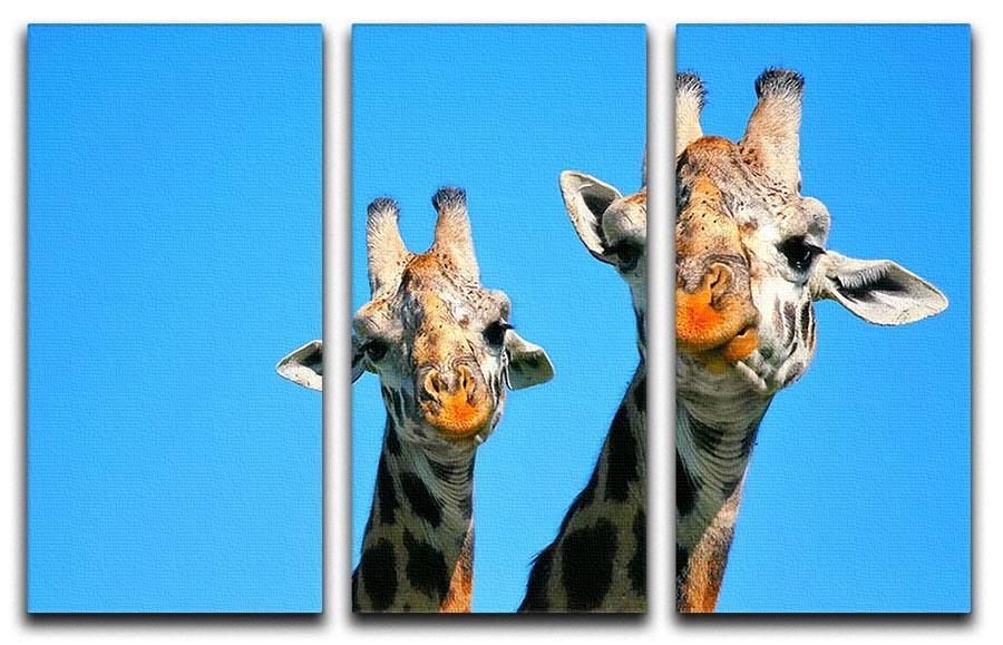 Portrait of mother and baby giraffe. Africa. Kenya 3 Split Panel Canvas Print - Canvas Art Rocks - 1